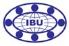 подшипники IBU