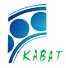 подшипники KABAT