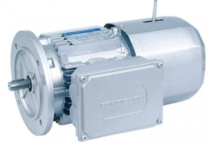 BN 80C 4 230/400-50 IP54 B5 FD Электродвигатель
