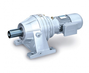 Мотор-редуктор 306L 3 325 PC P100 E BN 100LB 4 W