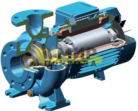 B-NM 50/25C/B Центробежные насосы