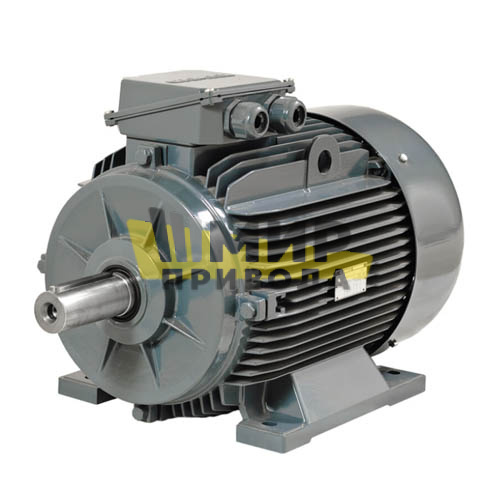 Электродвигатель трехфазный GMM2E 355 M 2c (355/3000)
