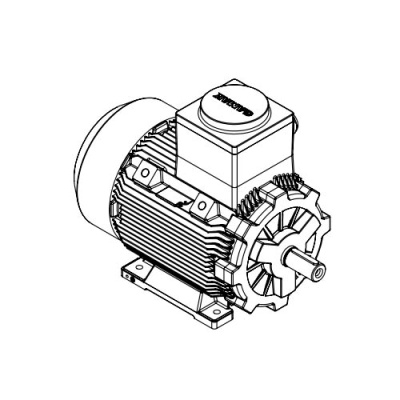 Взрывозащищенный электродвигатель GM1Exd 200 L 4 (30/1500)